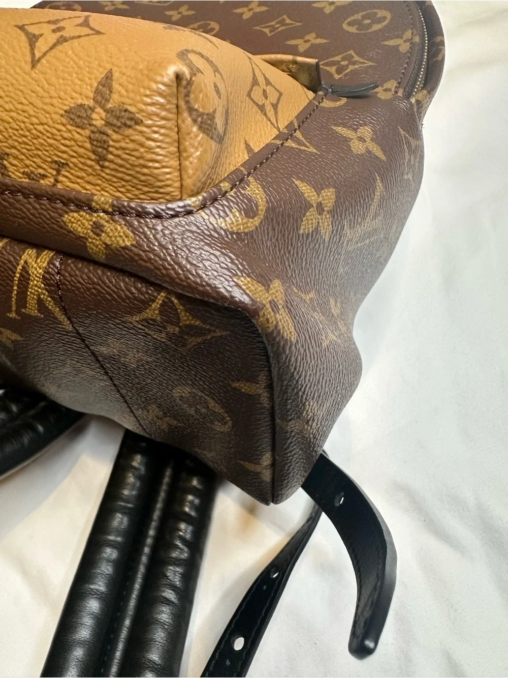 Louis Vuitton Palm Springs PM Backpack